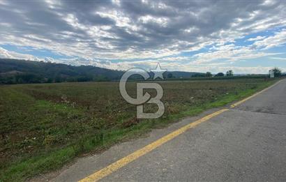 SAKARYA ADAPAZARI AŞIRLAR'DA YOL CEPHE SATILIK TARLA