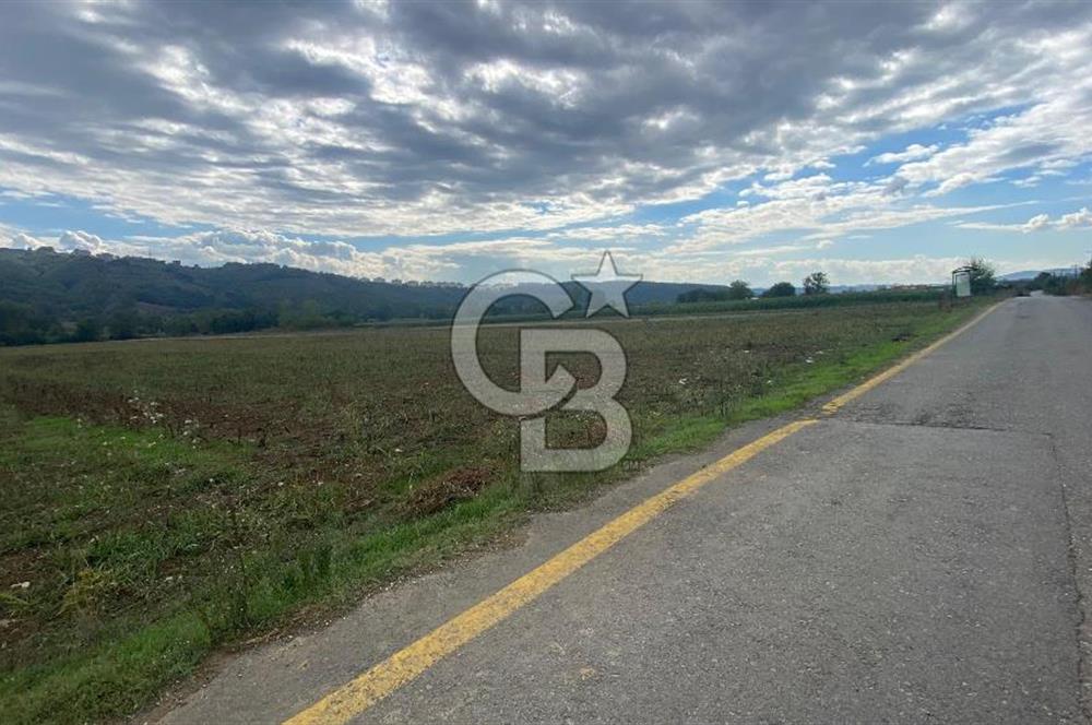 SAKARYA ADAPAZARI AŞIRLAR'DA YOL CEPHE SATILIK TARLA