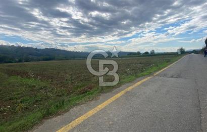 SAKARYA ADAPAZARI AŞIRLAR'DA YOL CEPHE SATILIK TARLA