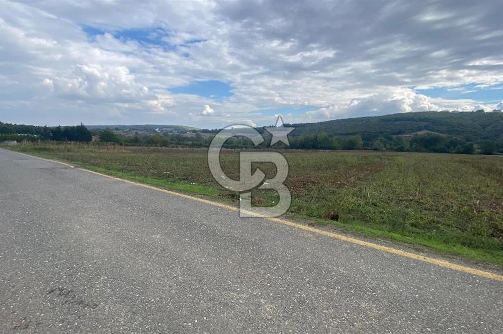 SAKARYA ADAPAZARI AŞIRLAR'DA YOL CEPHE SATILIK TARLA