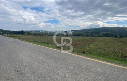 SAKARYA ADAPAZARI AŞIRLAR'DA YOL CEPHE SATILIK TARLA