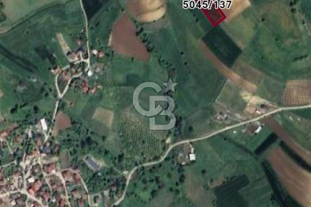 SAKARYA ADAPAZARI AŞIRLAR'DA SATILIK TARLA