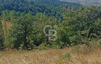 Bergamada şahane çiftlik arazisi