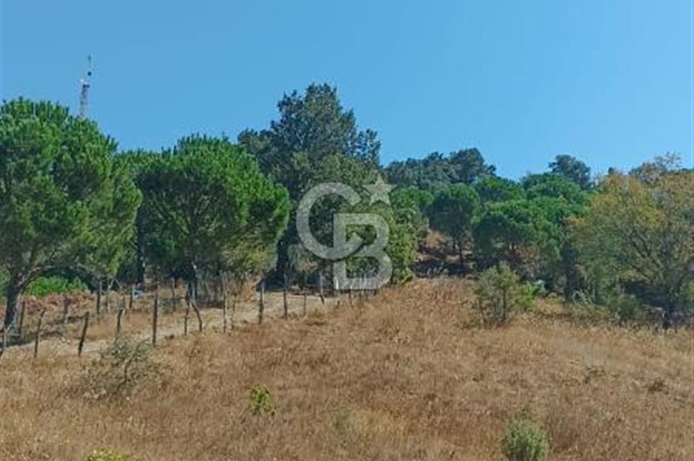 Bergamada şahane çiftlik arazisi