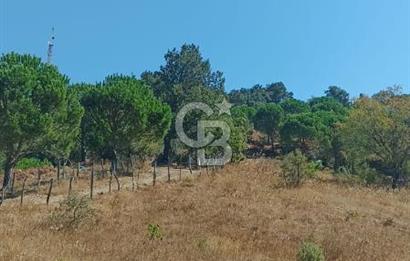 Bergamada şahane çiftlik arazisi