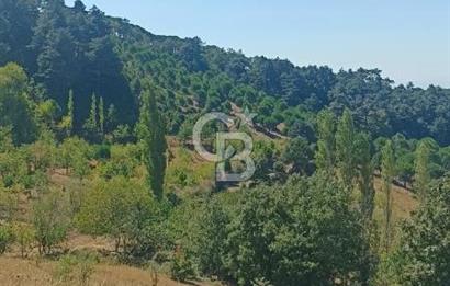 Bergamada şahane çiftlik arazisi