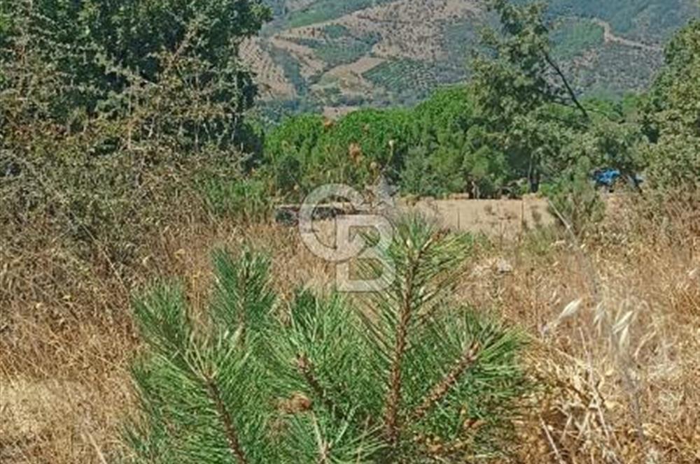 Bergamada şahane çiftlik arazisi
