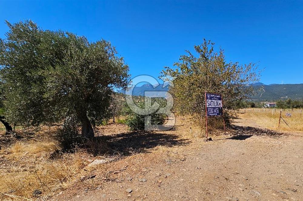 İzmir Kemalpaşa Yeşilköy'de Satılık 5034 m2 Bağ