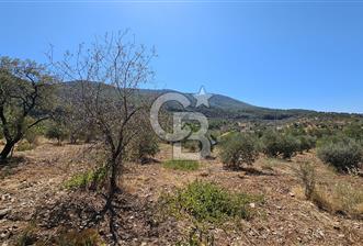 İzmir Kemalpaşa Yeşilköy'de Satılık 5034 m2 Bağ