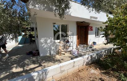 KEMALPAŞA LOJİSTİK KÖY SINIRINDA EMSALSİZ TARLA