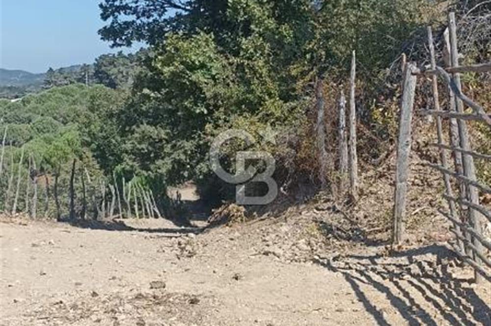 Bergamada şahane çiftlik arazisi