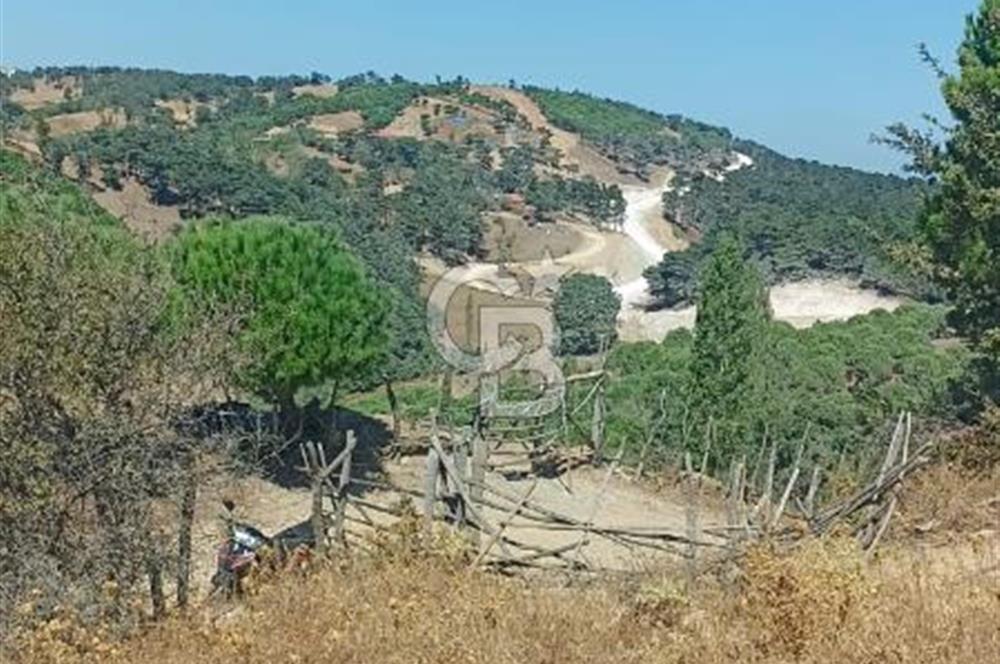 Bergamada şahane çiftlik arazisi
