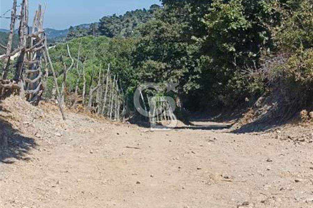Bergamada şahane çiftlik arazisi