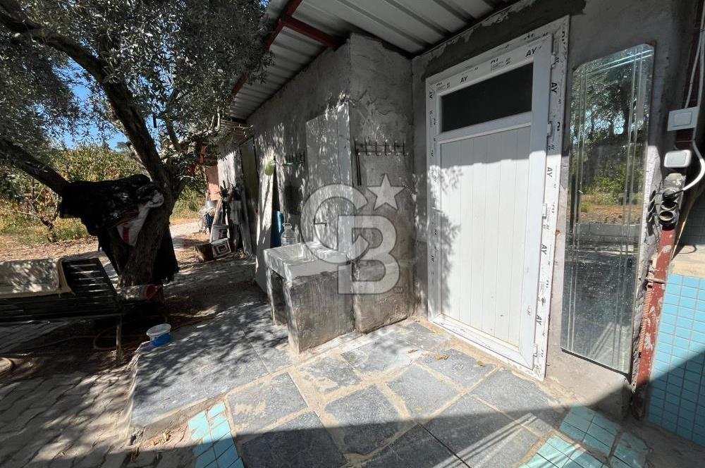 KEMALPAŞA LOJİSTİK KÖY SINIRINDA EMSALSİZ TARLA