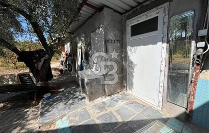 KEMALPAŞA LOJİSTİK KÖY SINIRINDA EMSALSİZ TARLA