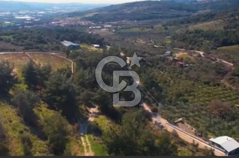 MENEMEN GÖRECE`DE HAZIR ALTYAPILI 8.446 M2  YATIRIMLIK ARSA 