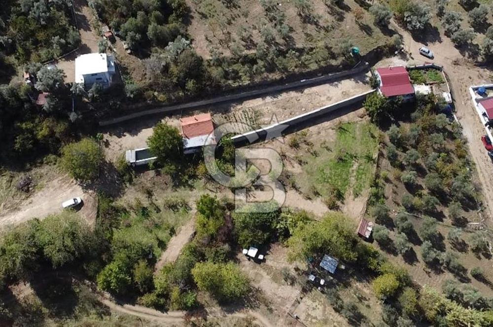 MUHTEŞEM DOĞA MANZARALI MÜSTAKİL EVLİ MEYVE BAHÇELİ ARSA