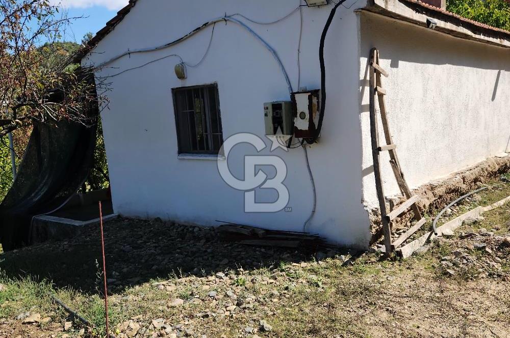 MUHTEŞEM DOĞA MANZARALI MÜSTAKİL EVLİ MEYVE BAHÇELİ ARSA