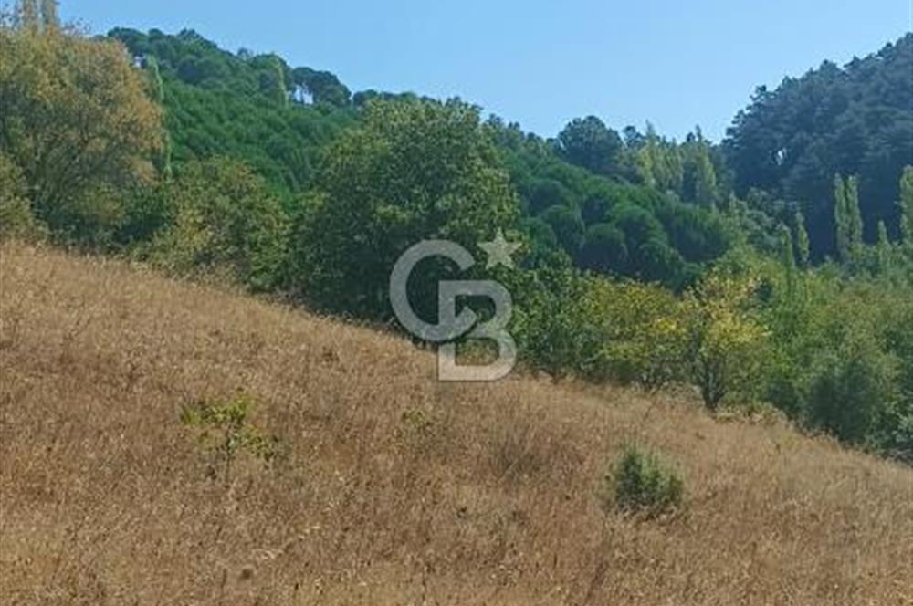 Bergamada şahane çiftlik arazisi