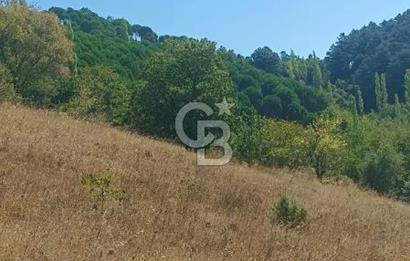 Bergamada şahane çiftlik arazisi