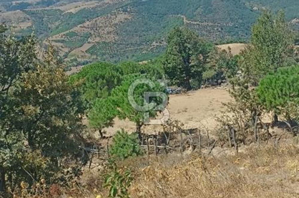 Bergamada şahane çiftlik arazisi