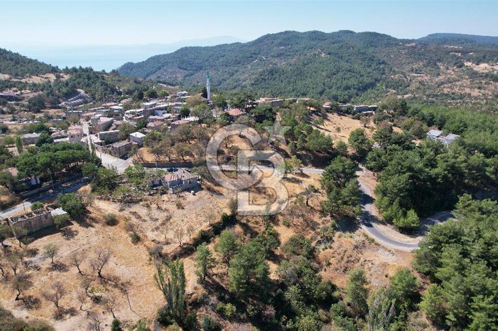 Çanakkale Ayvacık Demirciköy Satılık 729 M2 İmarlı Arsa