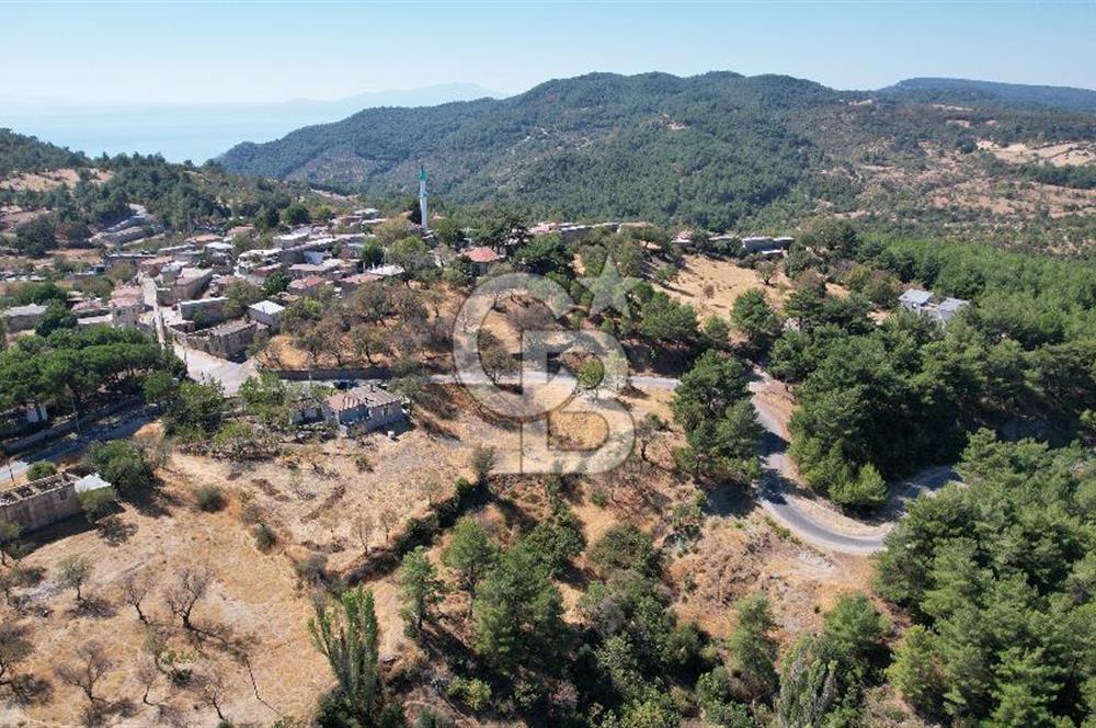 Çanakkale Ayvacık Demirciköy Satılık 729 M2 İmarlı Arsa