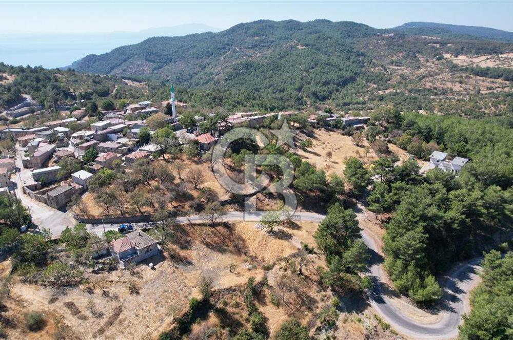 Çanakkale Ayvacık Demirciköy Satılık 729 M2 İmarlı Arsa