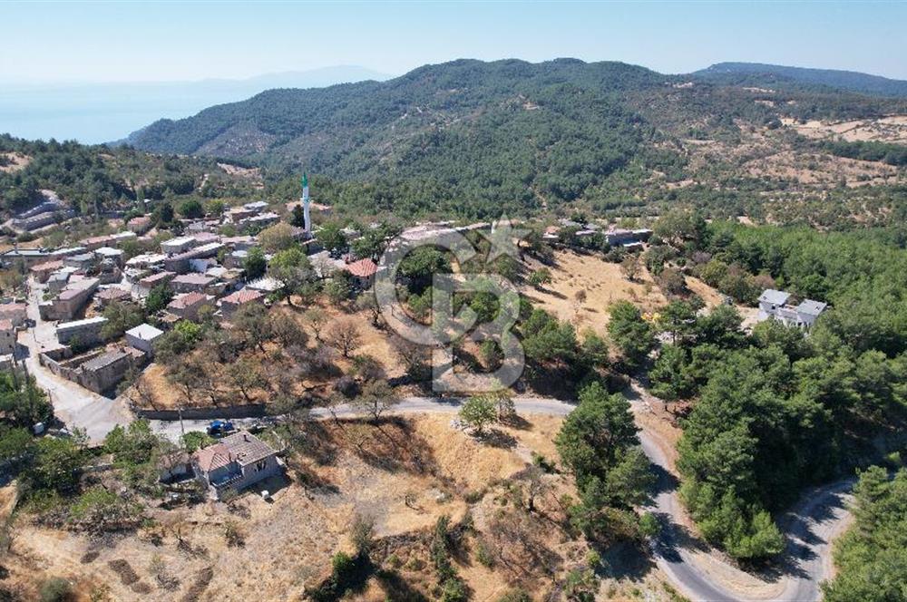 Çanakkale Ayvacık Demirciköy Satılık 729 M2 İmarlı Arsa
