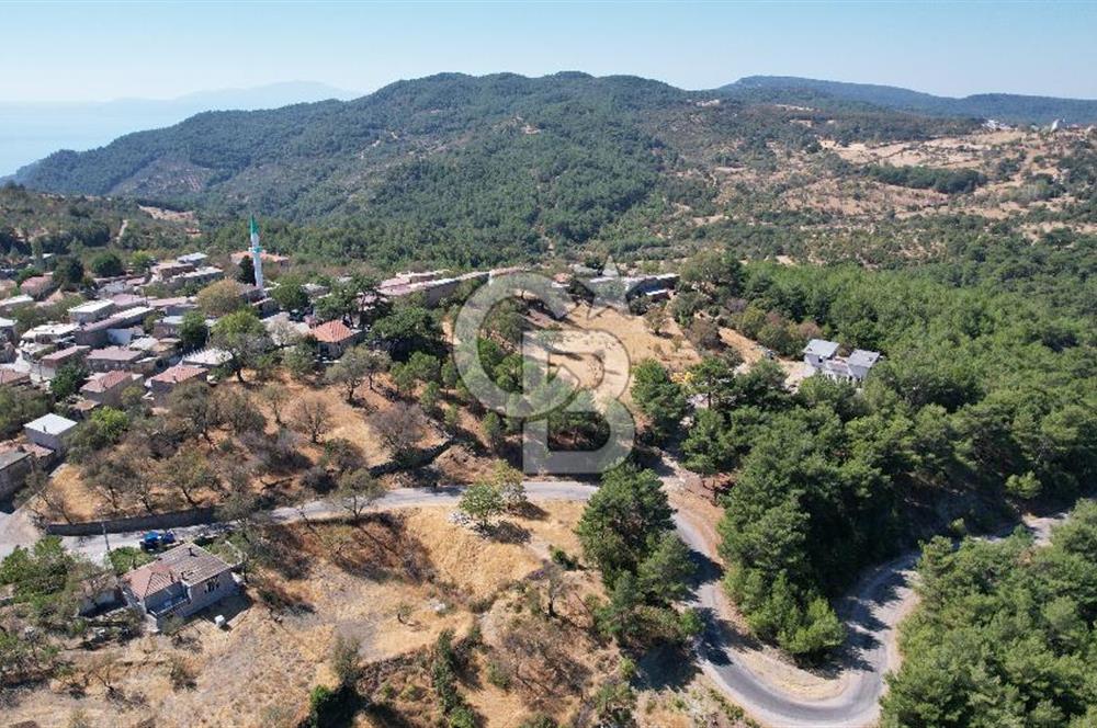 Çanakkale Ayvacık Demirciköy Satılık 729 M2 İmarlı Arsa