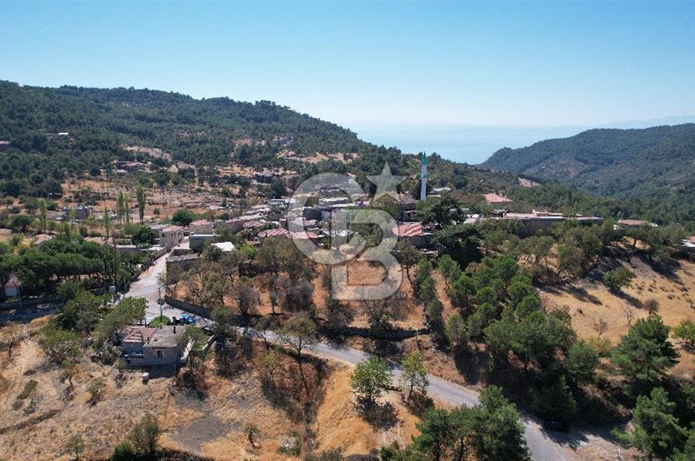 Çanakkale Ayvacık Demirciköy Satılık 729 M2 İmarlı Arsa