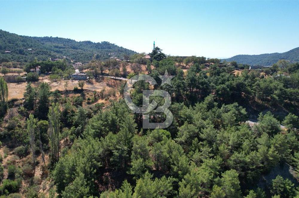 Çanakkale Ayvacık Demirciköy Satılık 729 M2 İmarlı Arsa