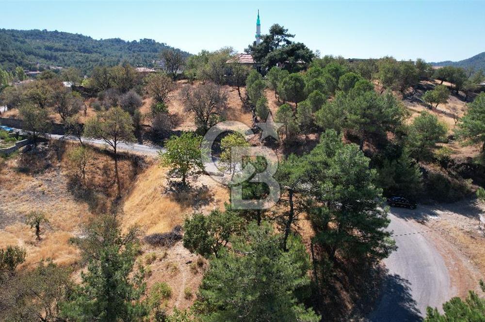Çanakkale Ayvacık Demirciköy Satılık 729 M2 İmarlı Arsa