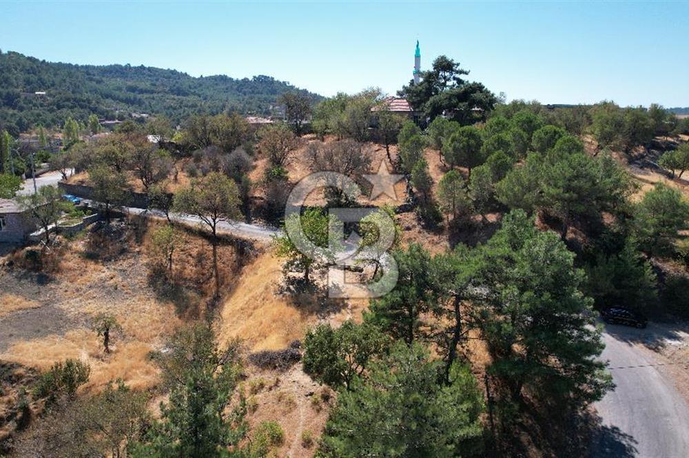 Çanakkale Ayvacık Demirciköy Satılık 729 M2 İmarlı Arsa