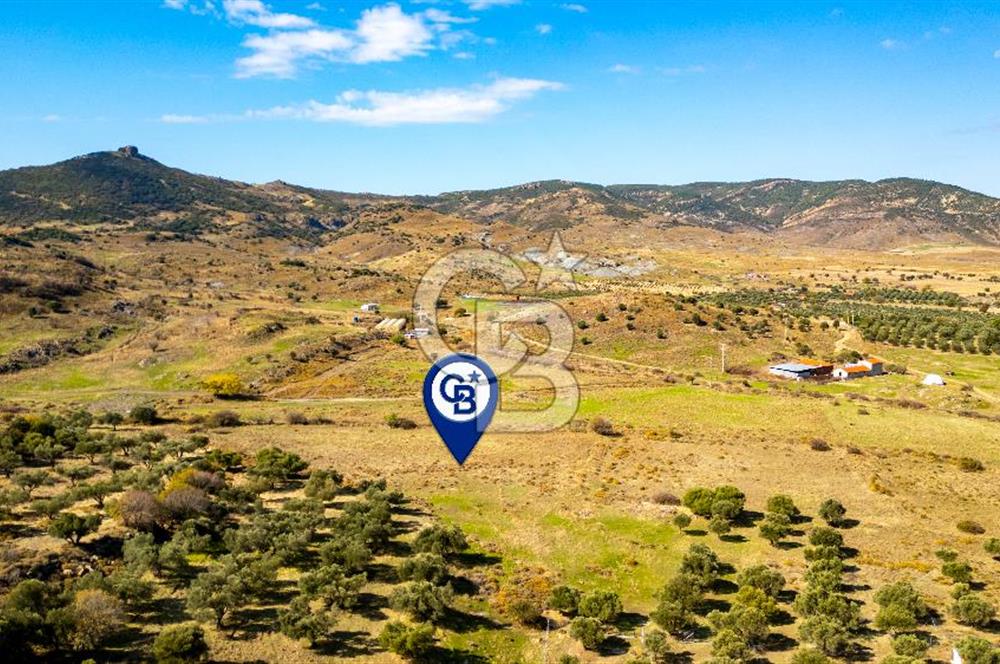 Yenifoça Fevzi Çakmak Mah. Satılık Tek Tapu Tarla