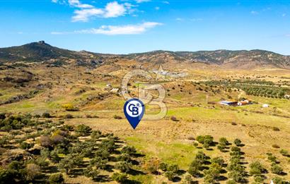 Yenifoça Fevzi Çakmak Mah. Satılık Tek Tapu Tarla