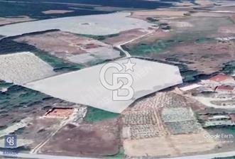 ÇATALCADA YOLA YAKIN YATIRIMLIK TARLA
