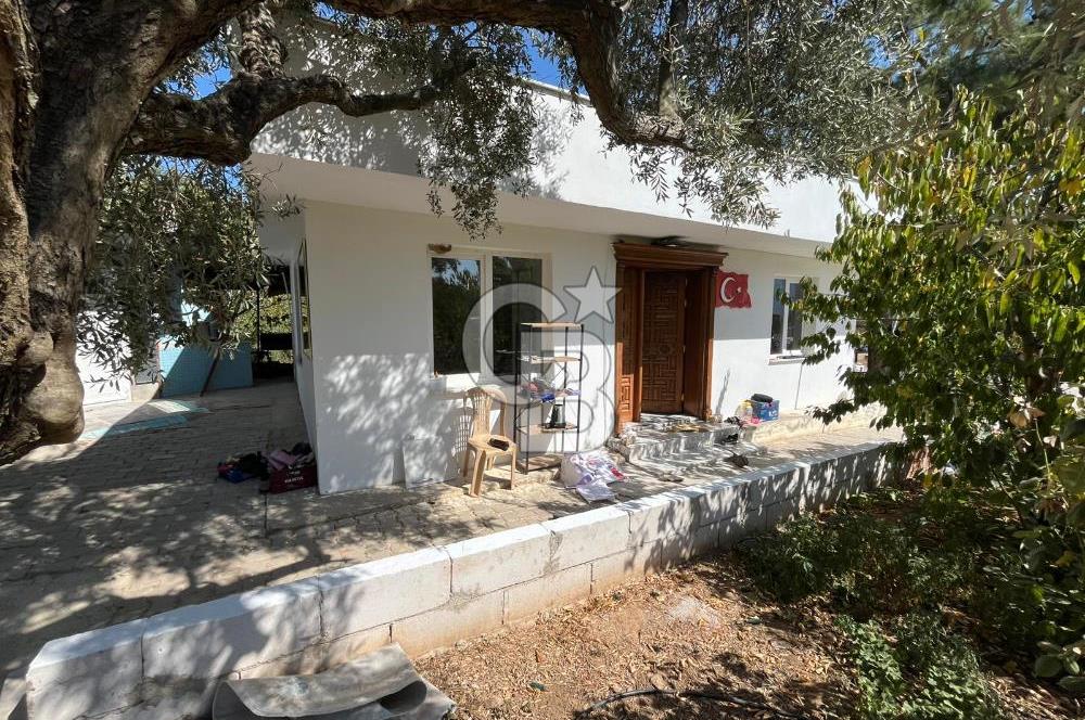 KEMALPAŞA LOJİSTİK KÖY SINIRINDA EMSALSİZ TARLA