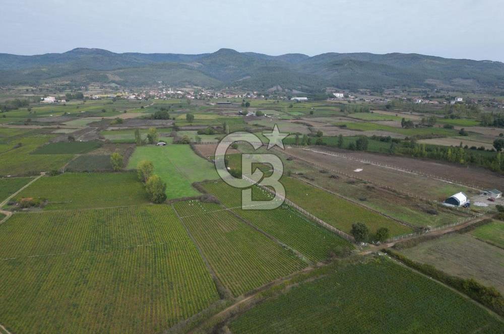 Çanakkale Yenice Hamdibey Köyünde 4.100 M² Satılık Tarla !