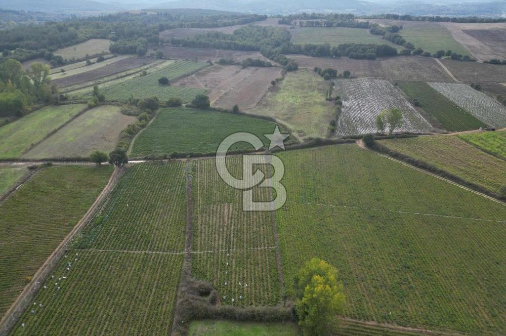 Çanakkale Yenice Hamdibey Köyünde 4.100 M² Satılık Tarla !