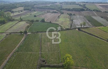 Çanakkale Yenice Hamdibey Köyünde 4.100 M² Satılık Tarla !