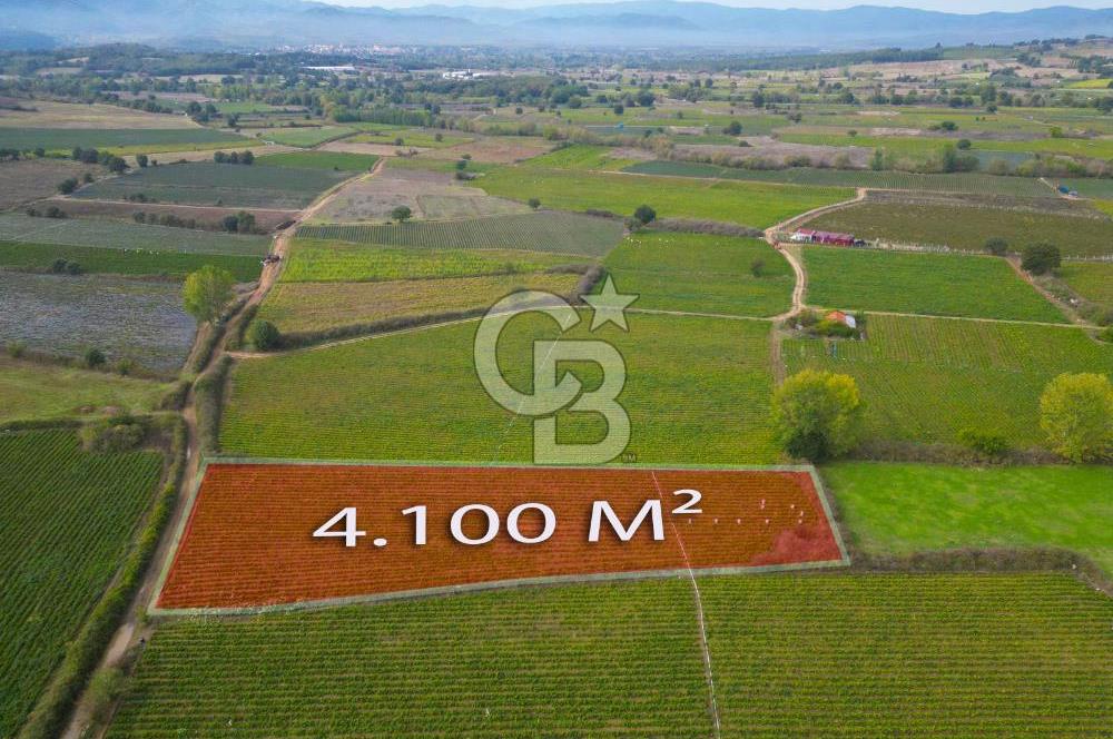 Çanakkale Yenice Hamdibey Köyünde 4.100 M² Satılık Tarla !