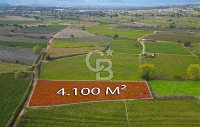 Çanakkale Yenice Hamdibey Köyünde 4.100 M² Satılık Tarla !