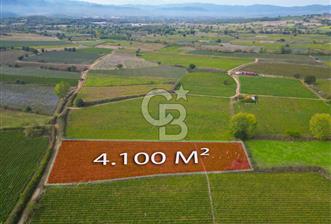 Çanakkale Yenice Hamdibey Köyünde 4.100 M² Satılık Tarla !
