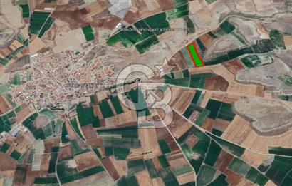 YUKARITANDIR’DA ELEKTRİK VE SUYU HAZIR 18.150 M² TARLA
