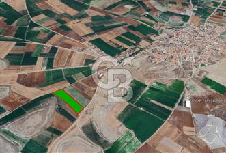 YUKARITANDIR’DA ELEKTRİK VE SUYU HAZIR 18.150 M² TARLA