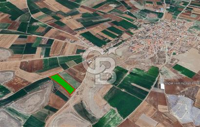 YUKARITANDIR’DA ELEKTRİK VE SUYU HAZIR 18.150 M² TARLA