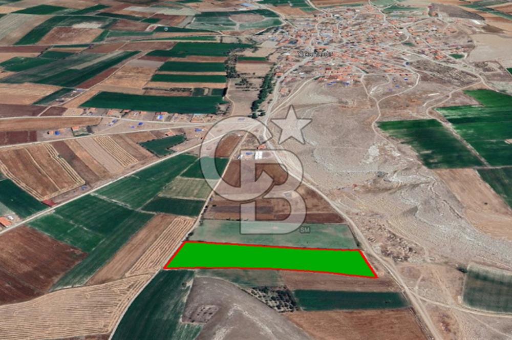 YUKARITANDIR’DA ELEKTRİK VE SUYU HAZIR 18.150 M² TARLA