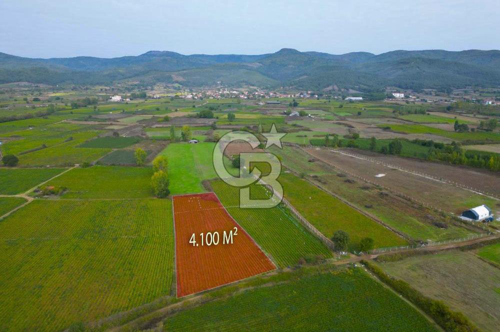 Çanakkale Yenice Hamdibey Köyünde 4.100 M² Satılık Tarla !