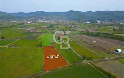 Çanakkale Yenice Hamdibey Köyünde 4.100 M² Satılık Tarla !